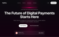 Hero Section, Digital Payments