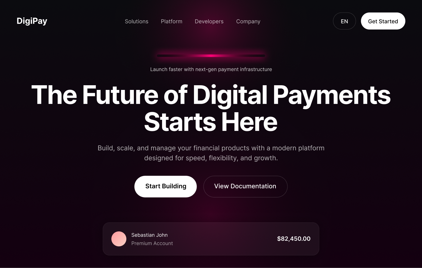 Hero Section, Digital Payments