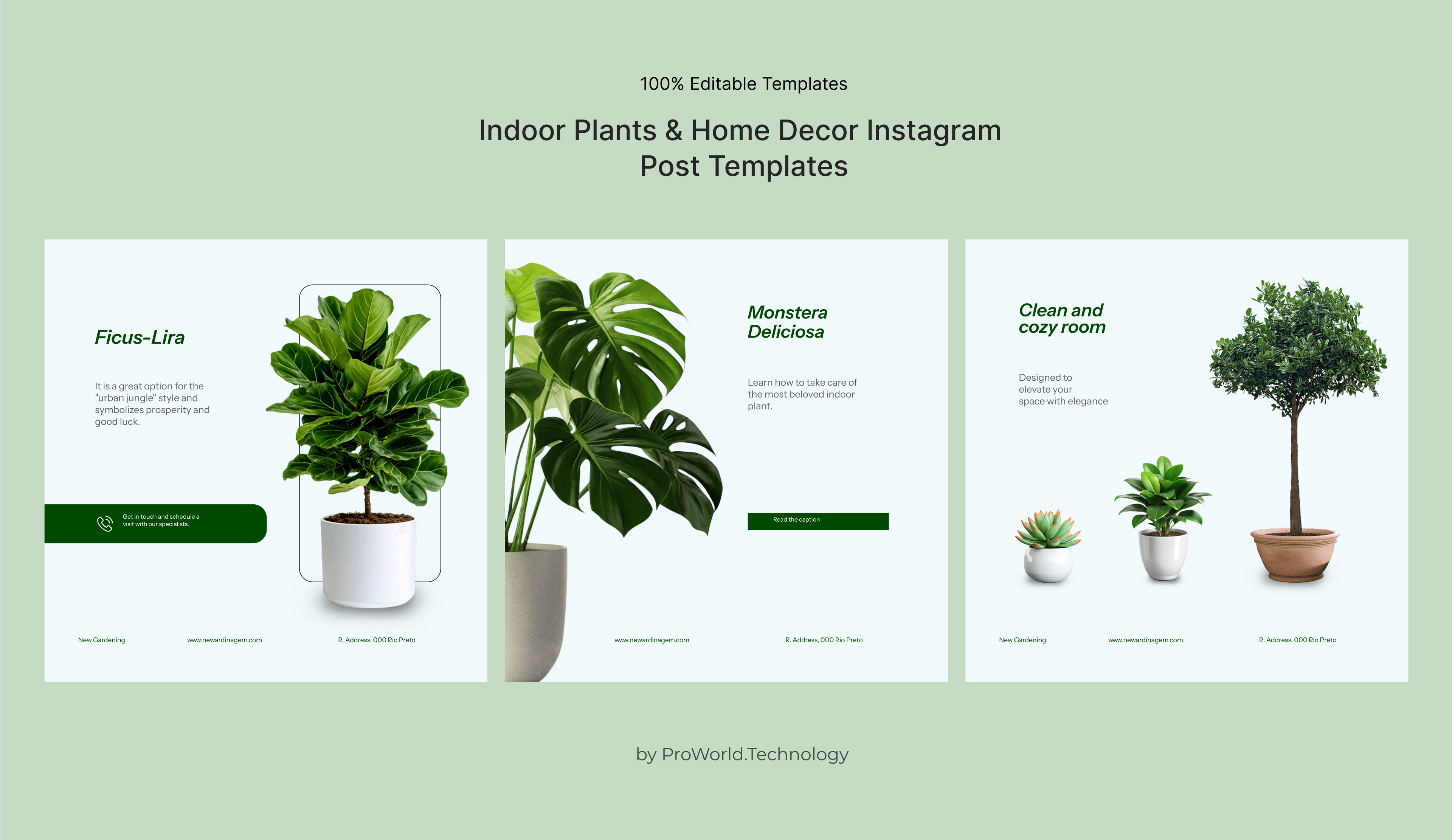 Indoor Plants & Home Decor Instagram Post Templates