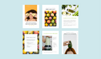 Healthy Smoothie & Wellness Guide