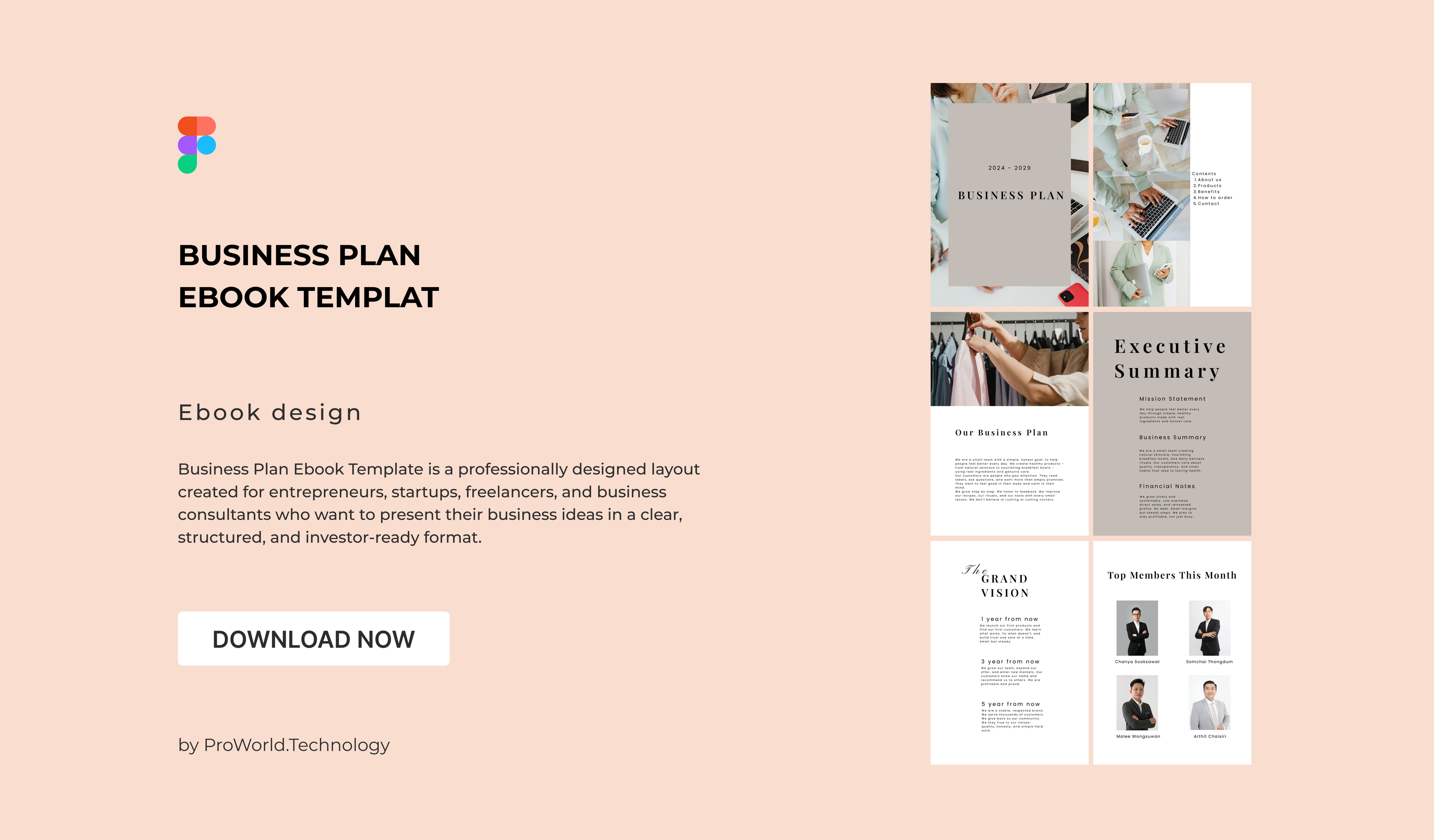 Business Plan Ebook Template