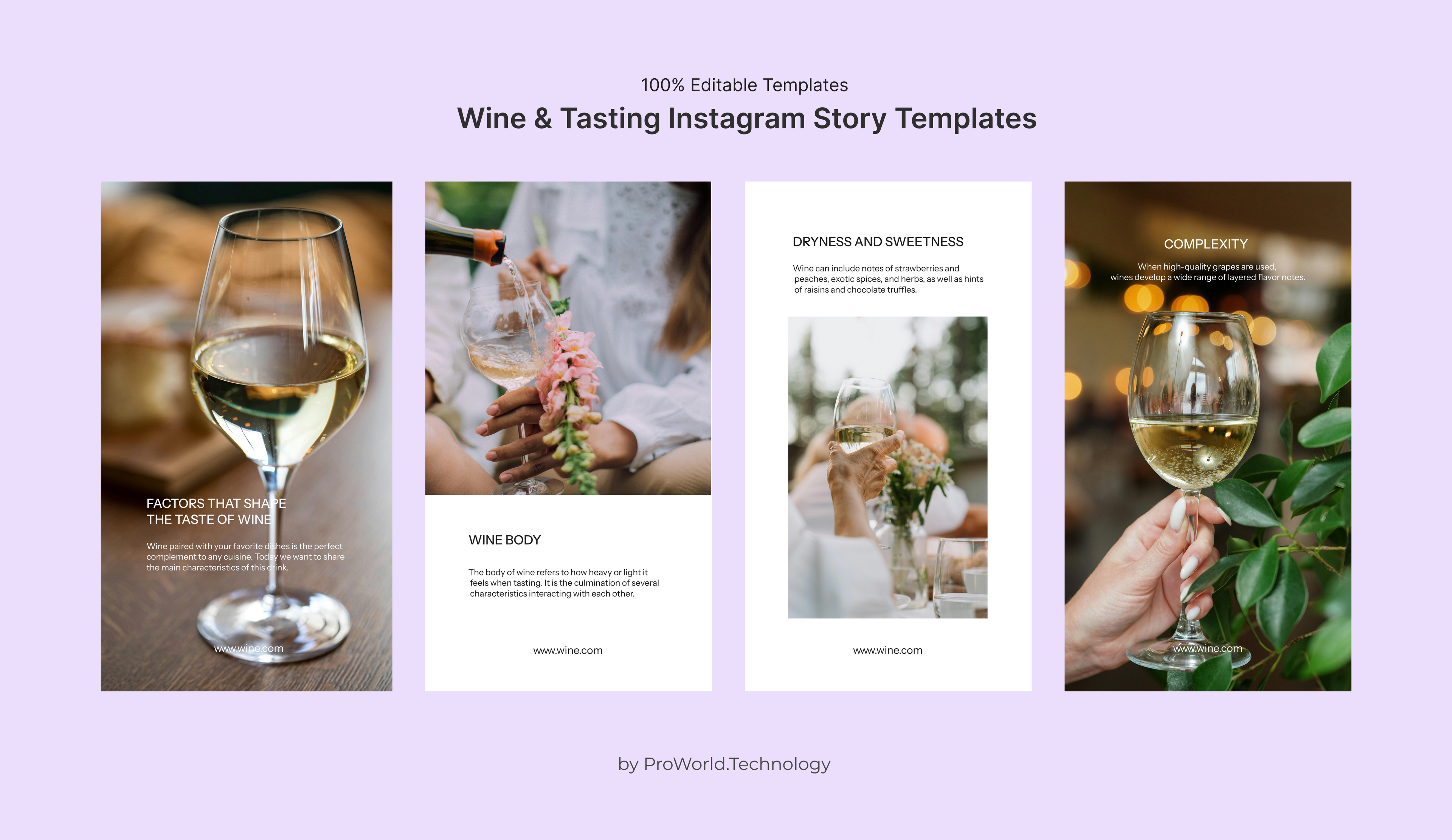 Wine & Tasting Instagram Story Templates