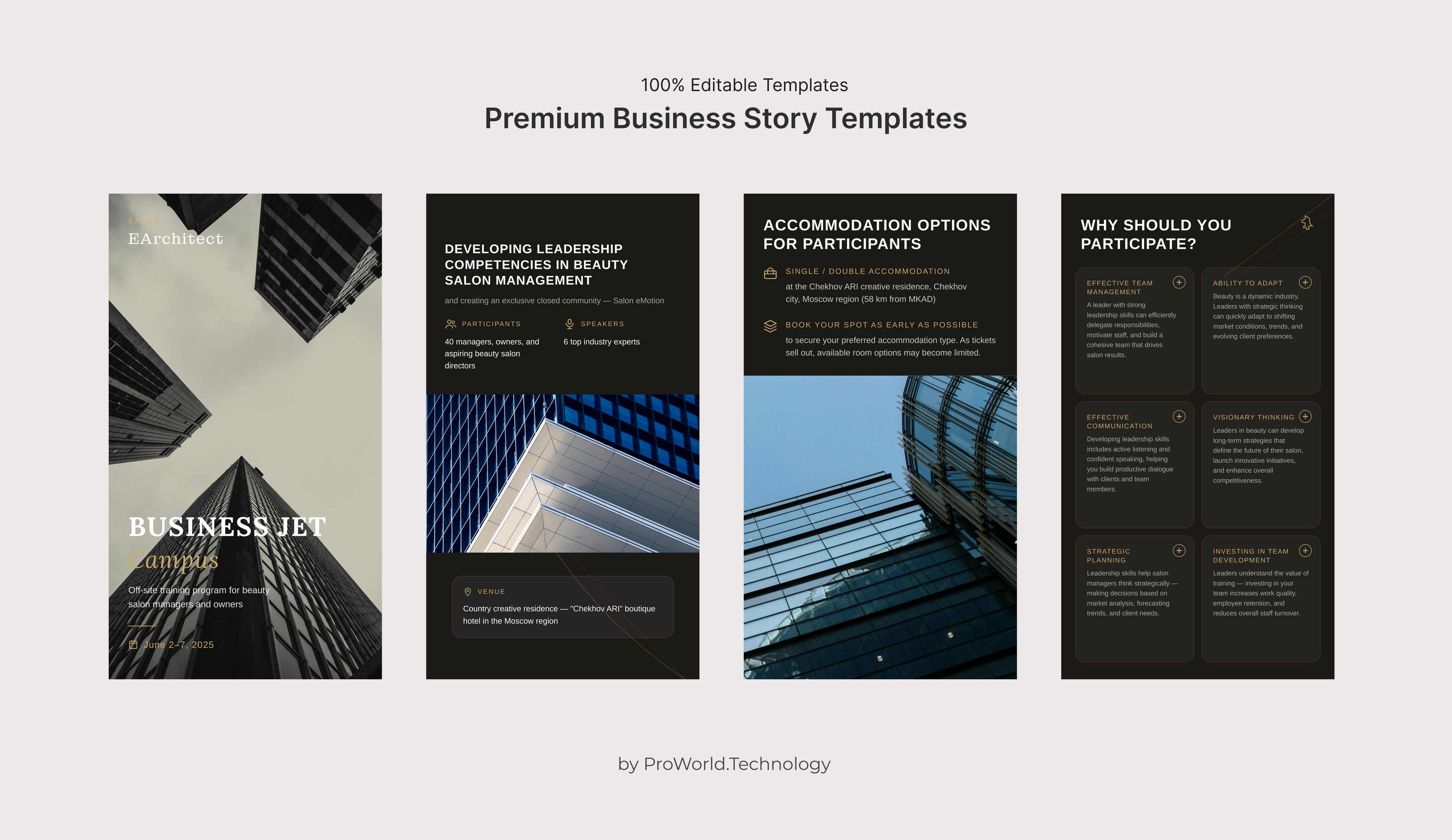 Premium Business Story Templates