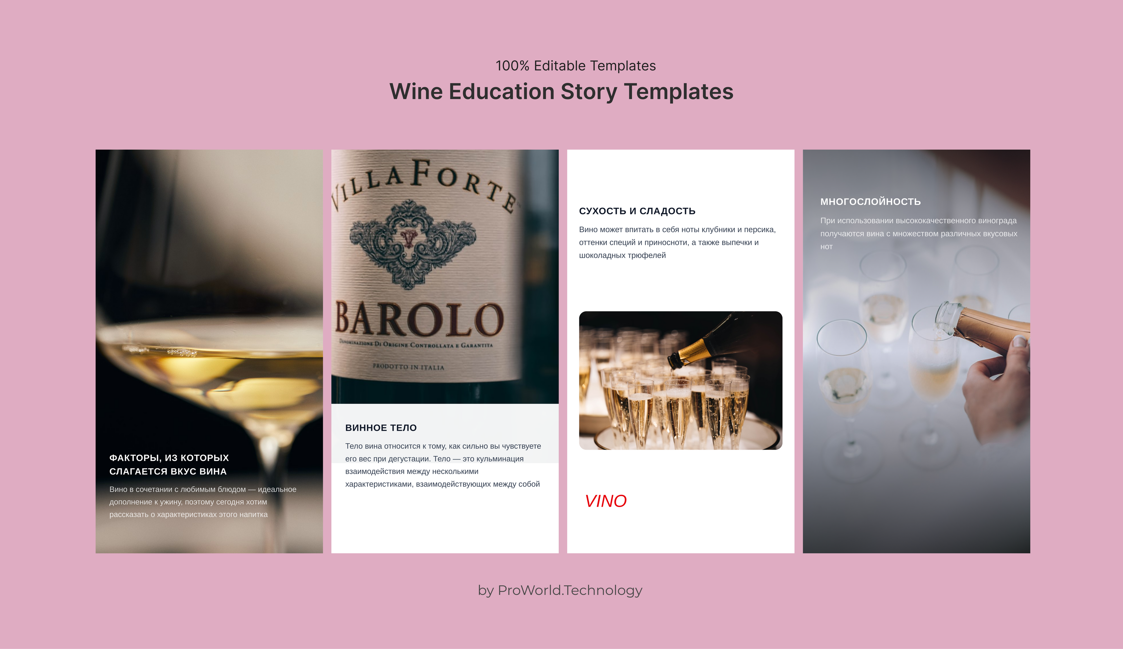 Wine Education Story Templates